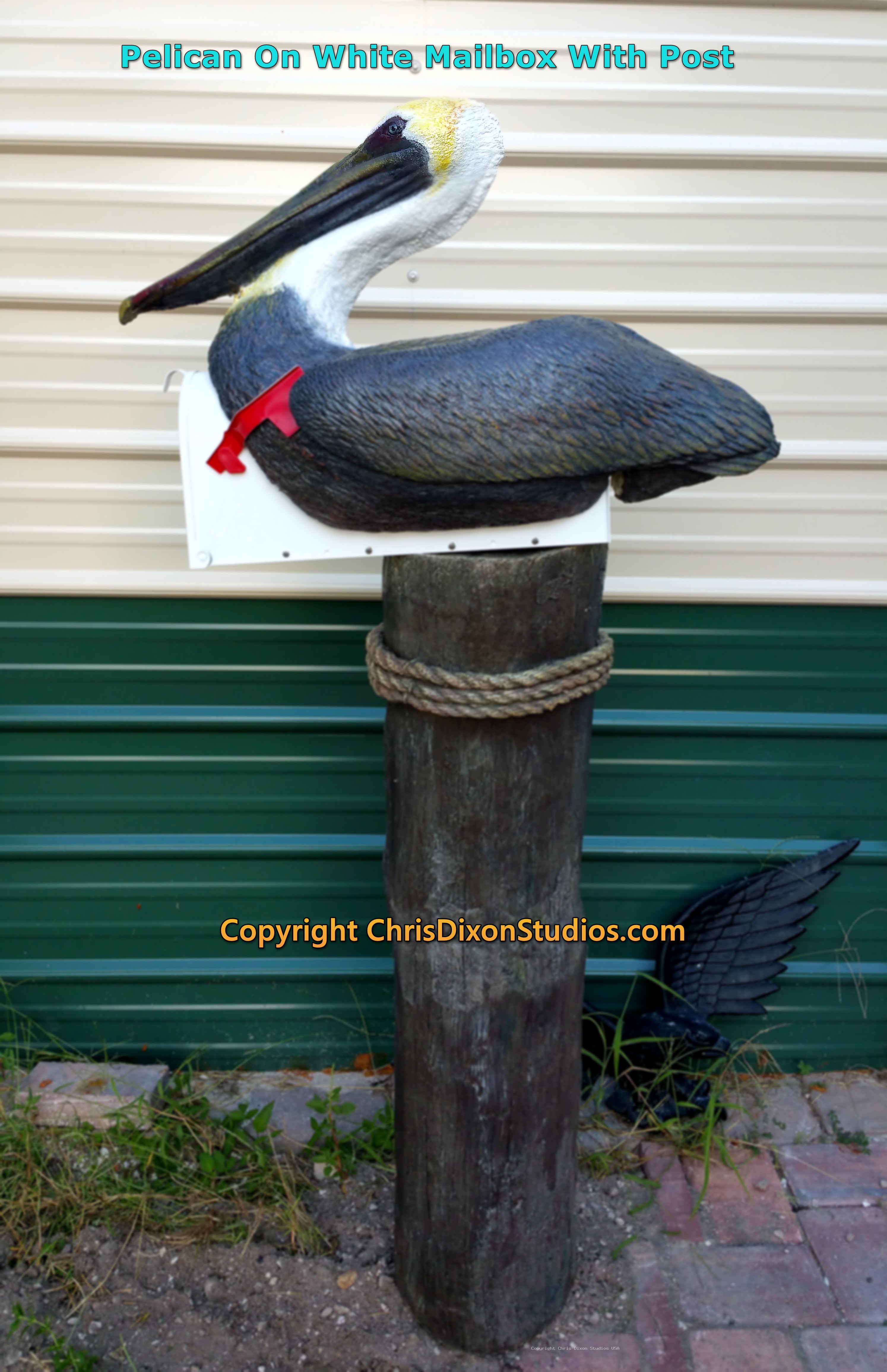 Pelican On White Mailbox With Post 4106